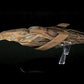 SSDUK006 Vulcan Cruiser Discovery Ships Modèle de bateau moulé sous pression (Eaglemoss / Star Trek)