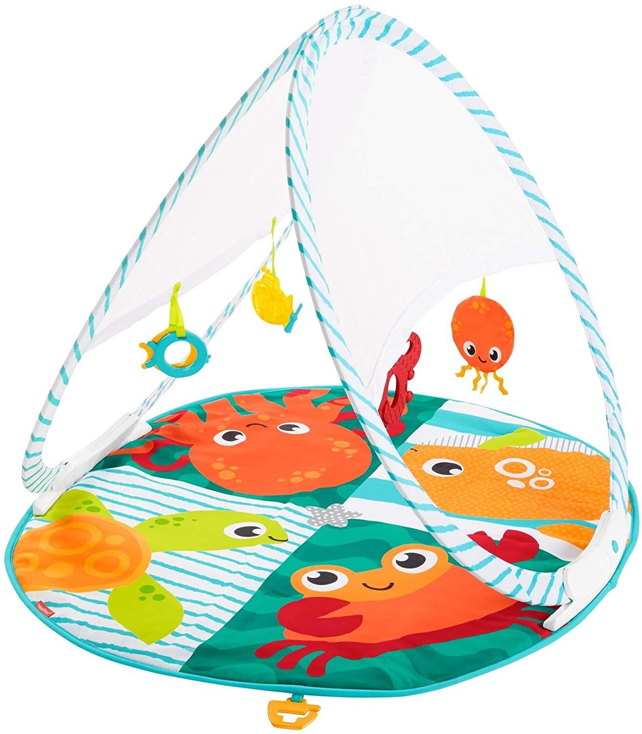 Fisher-Price Fold & Go Portable Gym Baby Play Mat