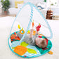 Fisher-Price Fold & Go Portable Gym Baby Play Mat