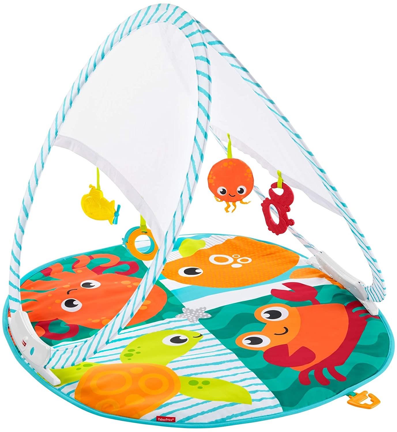 Fisher-Price Fold & Go Portable Gym Baby Play Mat