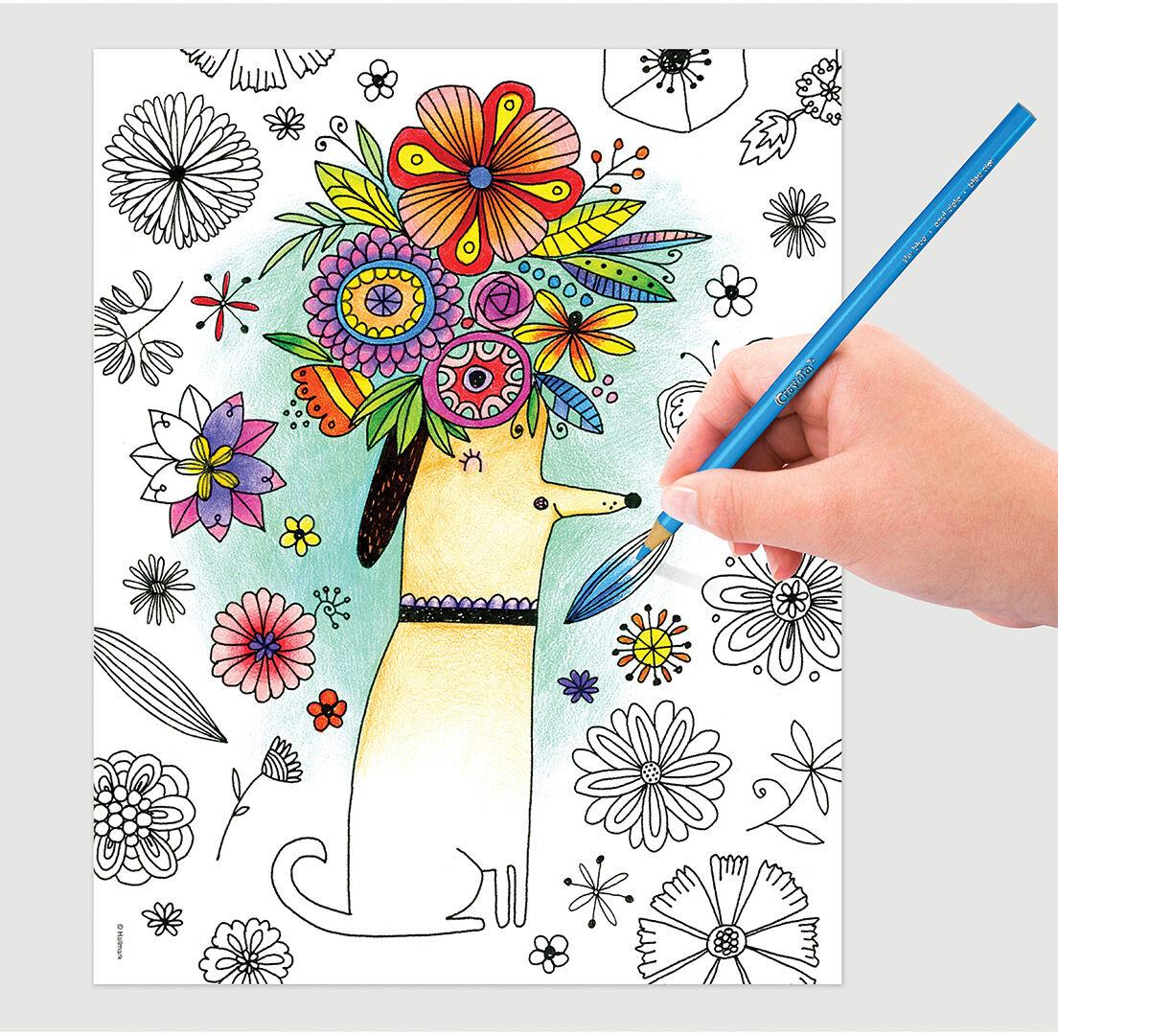 Crayola whimsical escapes on sale coloring book